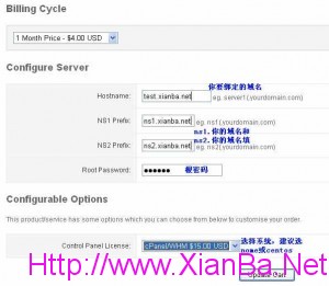 VPS购买教程图文版图2