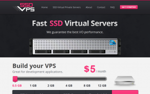 SSD VPS 1GB内存30GB硬盘年付48美元